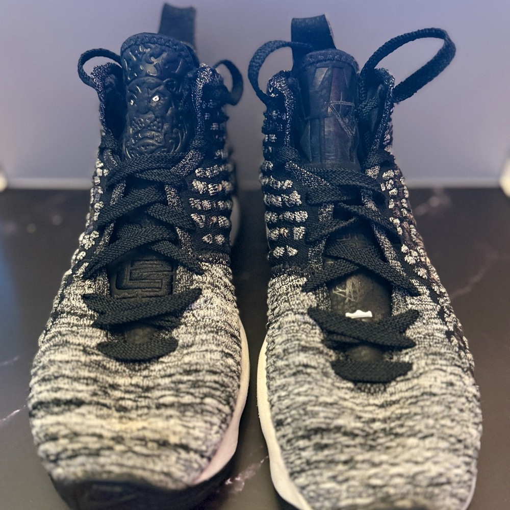 Nike LeBron in the arena basketball sneakers